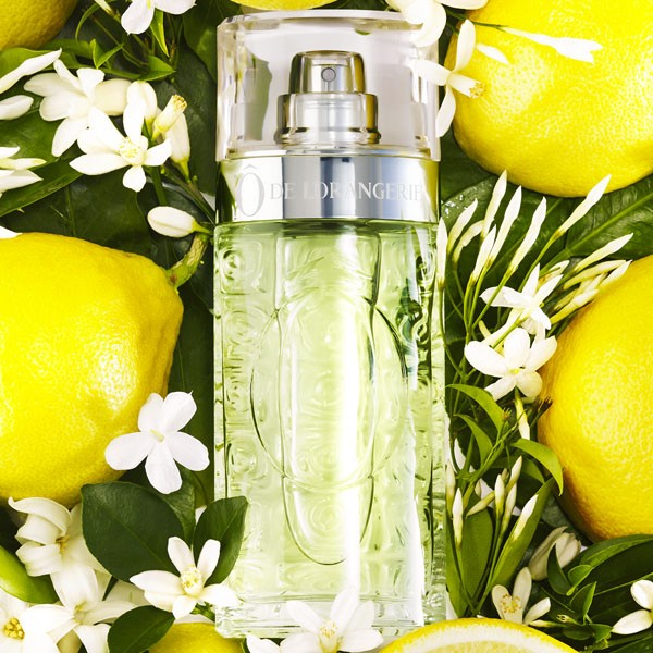 Lancome lemon perfume new arrivals