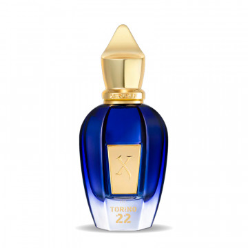 torino22