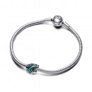 charme-grune-monstera-blatter-793332c01