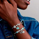 charm-zodiac-capricorn-brilliant-798423c01