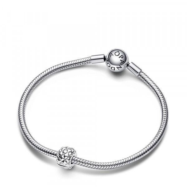 clip-avec-goujons-large-792746c00