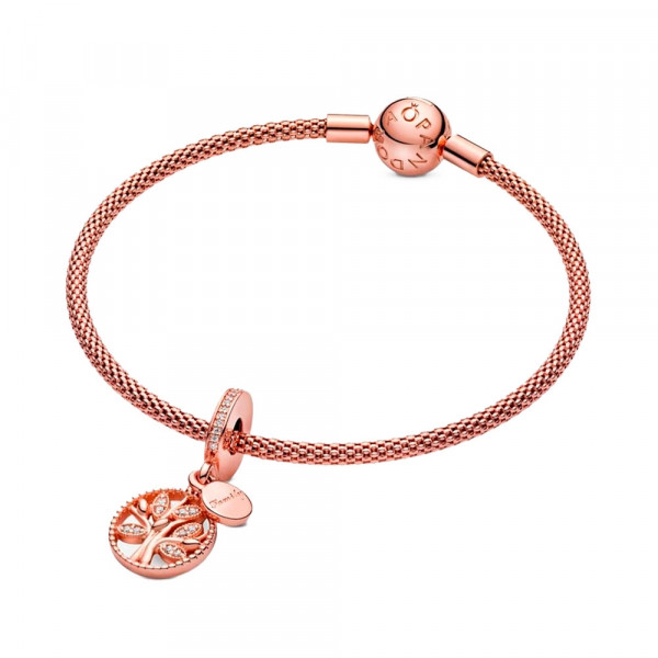 pingente-de-heranca-de-familia-781728cz