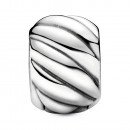 polished-feather-clip-charm-791752
