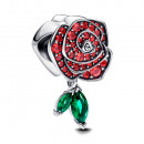 charm-pink-blooming-brilliant-793201c02