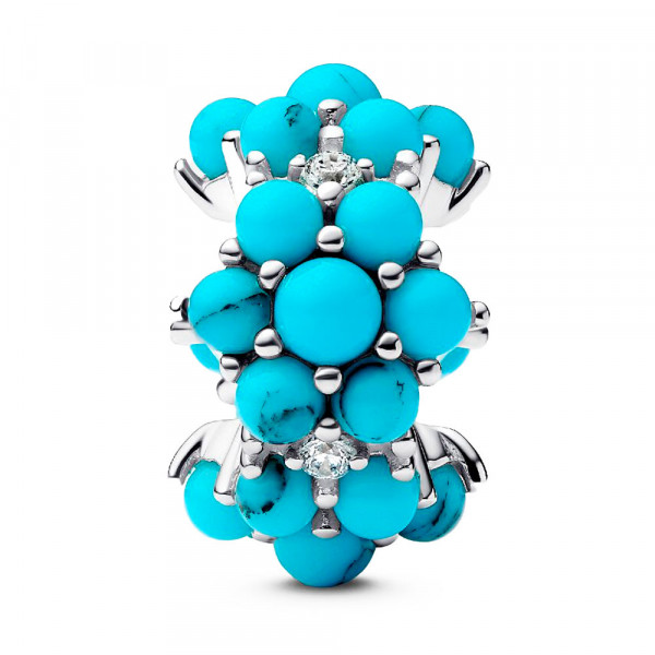 charm-oceano-793897c02