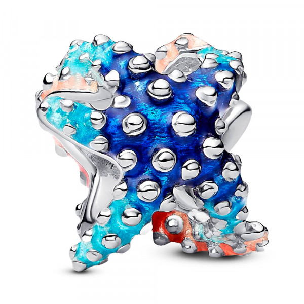 charm-mini-estrella-de-mar-793817c01