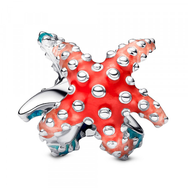 charm-mini-estrella-de-mar-793817c01
