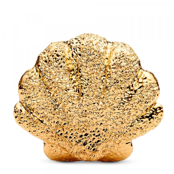 charm-mini-shell-texture-764057c00