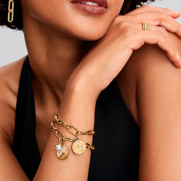 breloque-medaillon-pegase