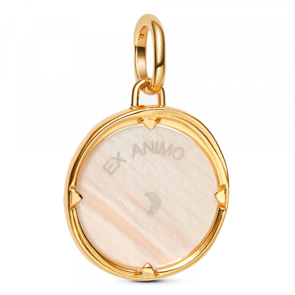 breloque-medaillon-pegase