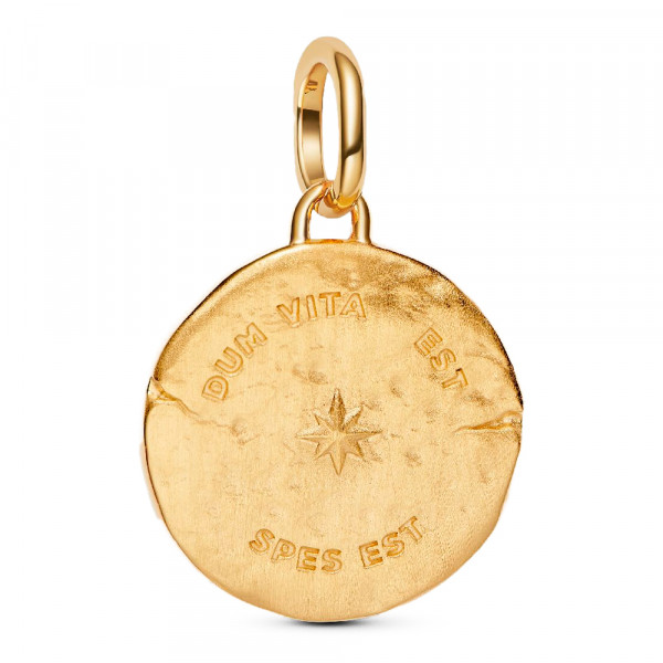 ciondolo-a-forma-di-medaglione-con-rondine