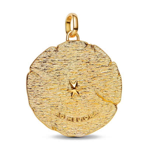 grosser-medaillon-charm-gekreuzte-pfeile-764084c01