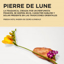 elixir-ultime-spring-estuche