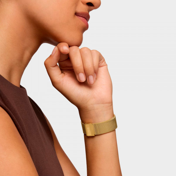 orologio-analogico-d-bear-party-con-bracciale-in-acciaio-dorato