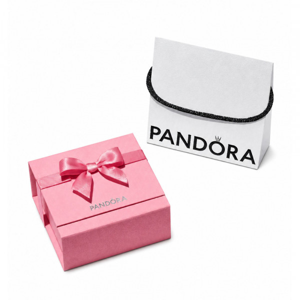 Caja de Regalo Rosa Premium Pandora