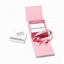 Caja de Regalo Rosa Premium Pandora