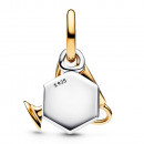 pingente-duplo-charm-trophy-764715c01