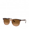 GAFAS DE SOL EAGLE EYE 0RB2398  1292M2