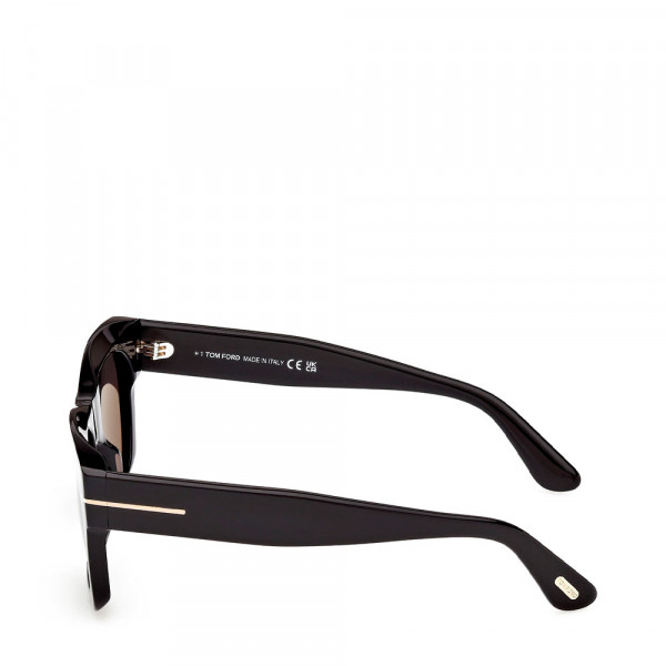 lunettes-de-soleil-ft1314