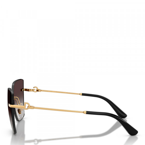 gafas-de-sol-dg-0dg2321
