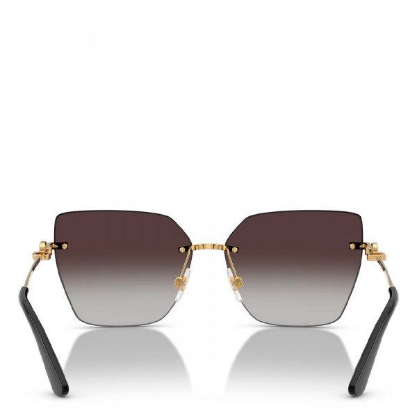dg-sunglasses-0dg2321