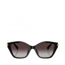 catskills-sonnenbrille-0mk2246u