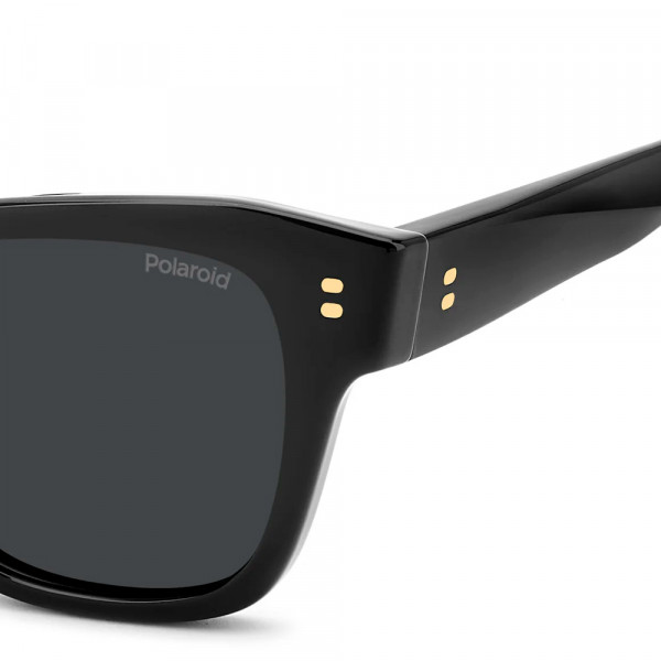 gafas-de-sol-pld-6251-s-x