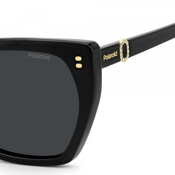 sonnenbrille-pld-4198-s-x