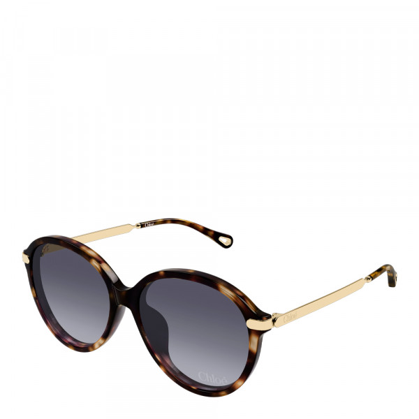 sunglasses-ch0358sk