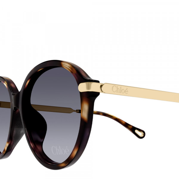 occhiali-da-sole-ch0358sk