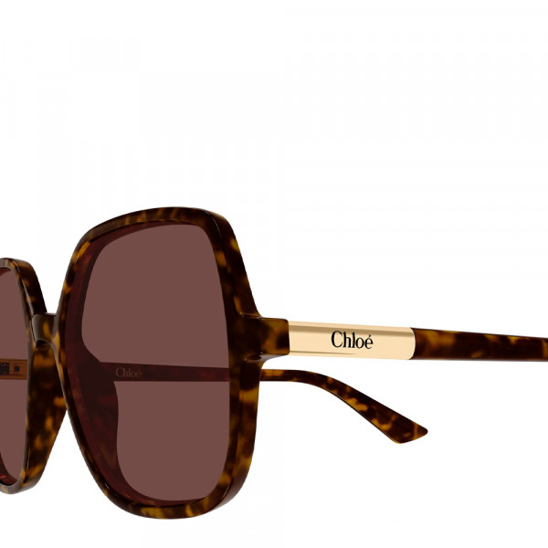 lunettes-de-soleil-ch0362s