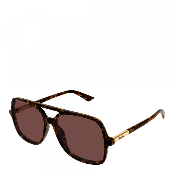 lunettes-de-soleil-ch0364s