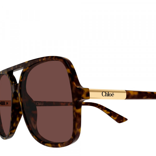 sonnenbrille-ch0364s