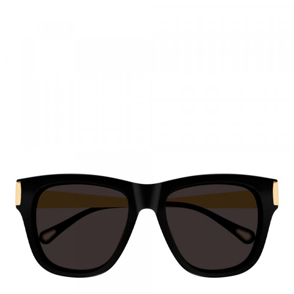 sonnenbrille-ch0349s