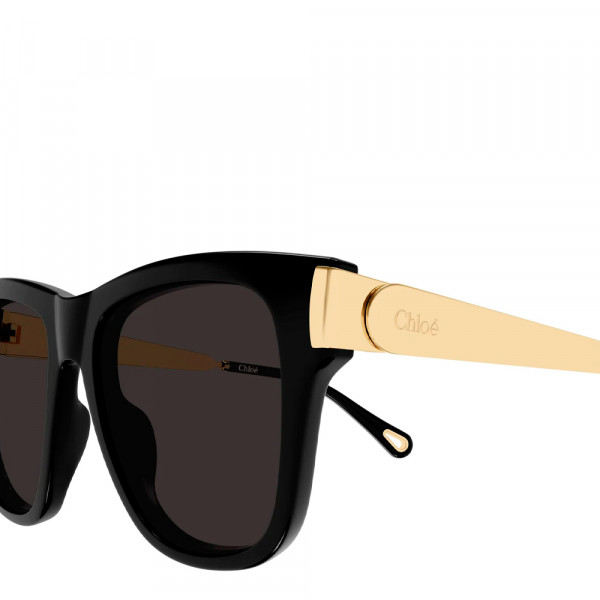 lunettes-de-soleil-ch0349s