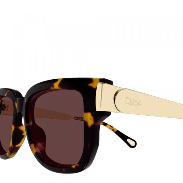oculos-de-sol-ch0351s
