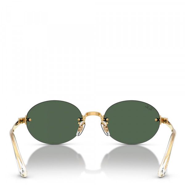 sunglasses-rb3929-by-aap-rocky