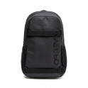 THE FRESHMAN SKATE 20L BACKPACK