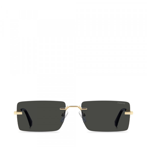 lunettes-de-soleil-pld-6245-s