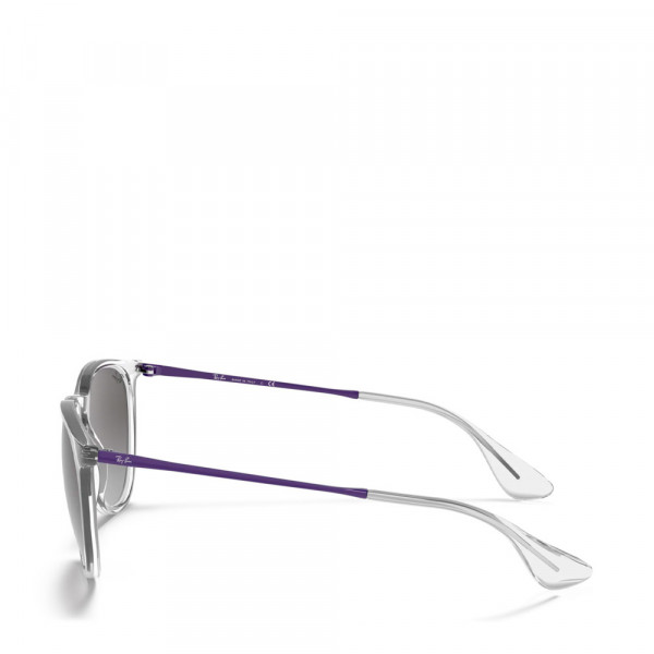 oculos-de-sol-erika-0rb4171
