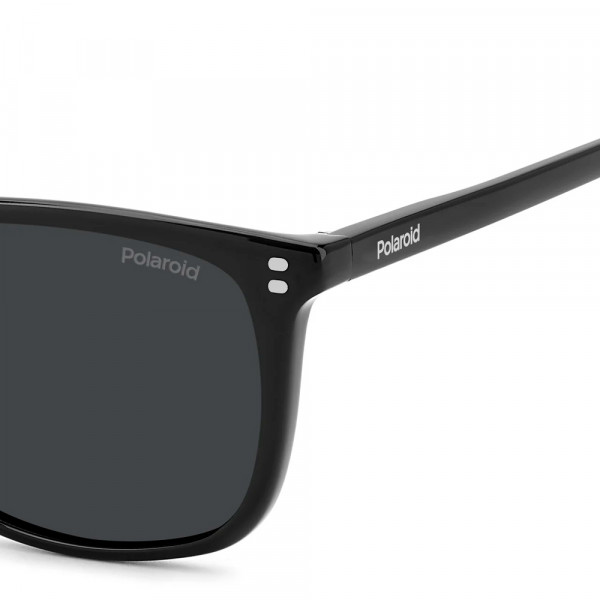 lunettes-de-soleil-pld-4202-s-x