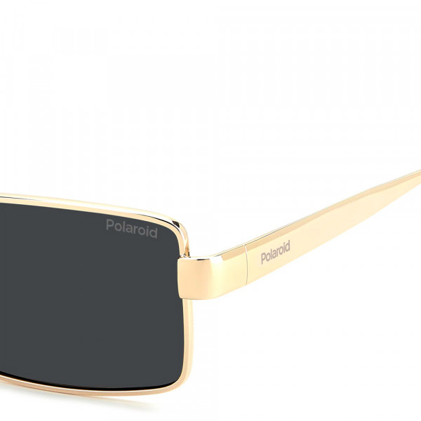 sunglasses-pld-6255-s-x