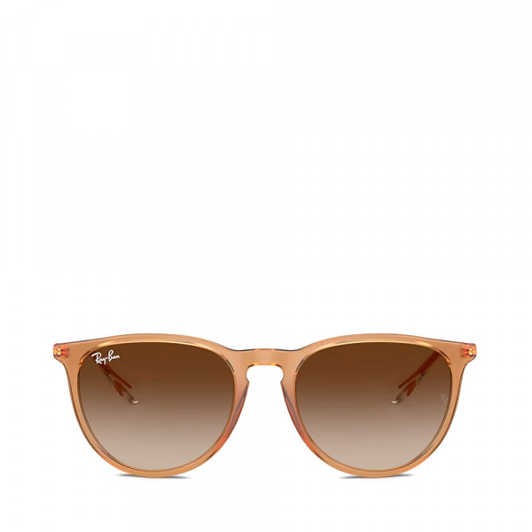 rb4171-erika-classic-sunglasses