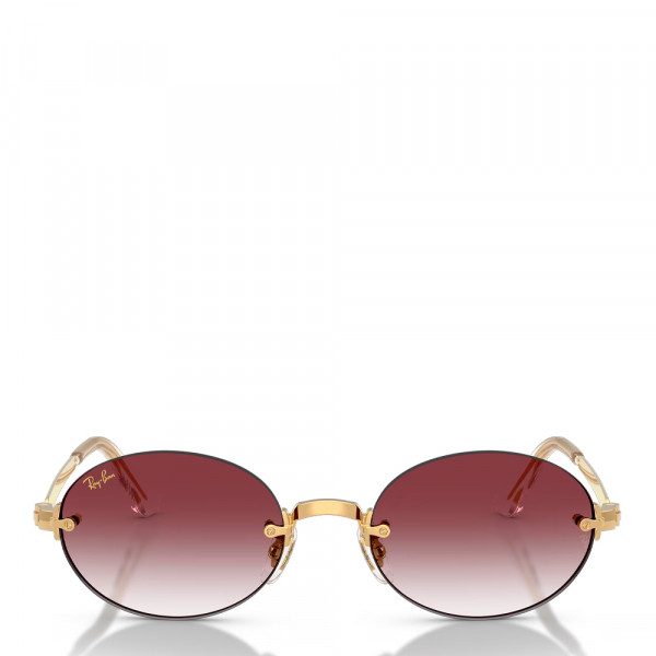occhiali-da-sole-rb3929-di-aap-rocky