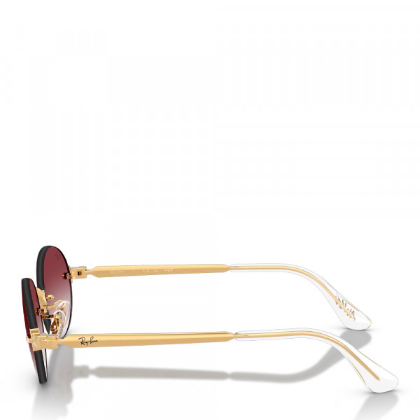 sonnenbrille-rb3929-von-aap-rocky