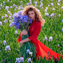 aqua-allegoria-rosa-rossa-forte
