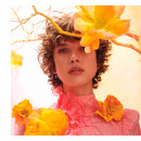 spring-flower