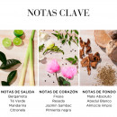 green-tea-citron-freesia-honey-drops-body-cream-creme-hidratante-para-o-corpo