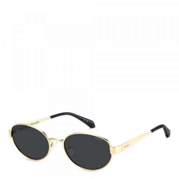 lunettes-de-soleil-pld-6254-s-x