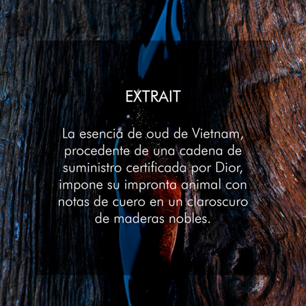 sauvage-extrait-duftextrakt-holzige-noten